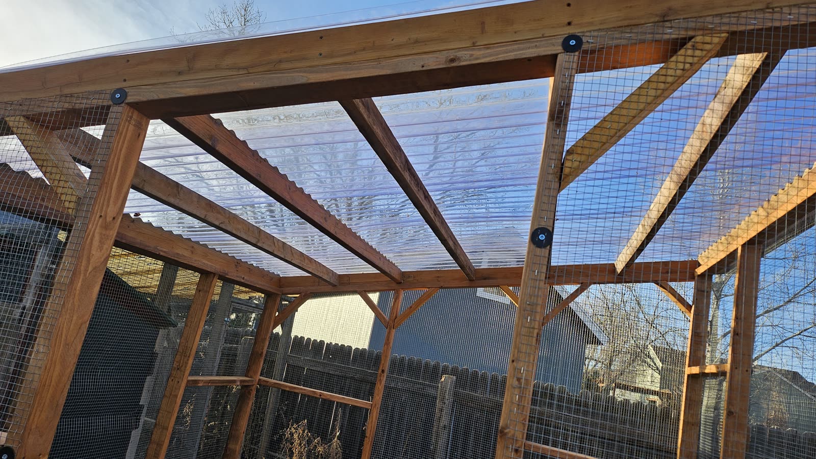 Looking up through the finished clear roof from inside the run.